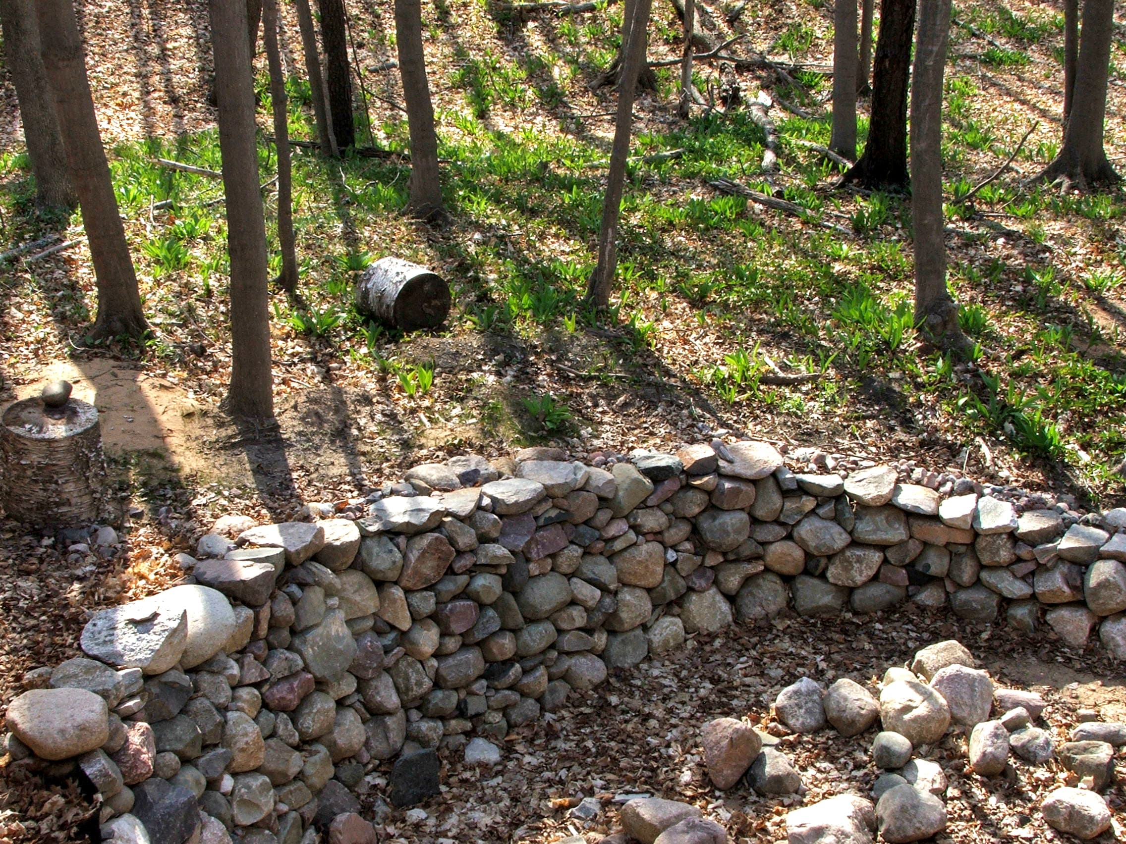 Low retaining wall in the woods.