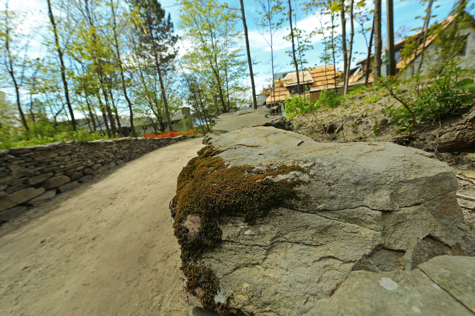 Mossed dry stone wall surface in close view.